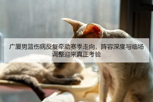 广厦男篮伤病反复牵动赛季走向，阵容深度与临场调整迎来真正考验