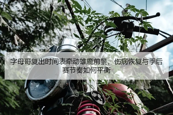 字母哥复出时间表牵动雄鹿前景，伤病恢复与季后赛节奏如何平衡